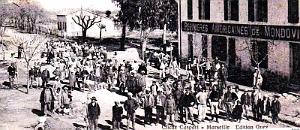 1196- Mondovi - Les Pepinieres americaines2
